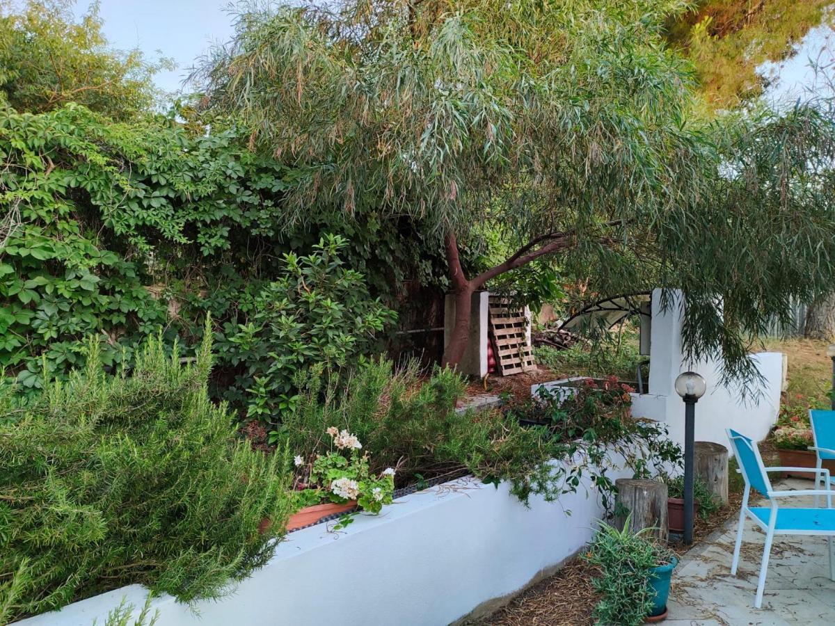 Filoxenia Di Umberto Guest House ซัสซารี ภายนอก รูปภาพ